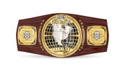 NXT North American Championship NXT North American Championship