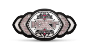 NXT Women's Championship NXT Women's Championship