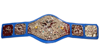 WWF World Tag Team Championship