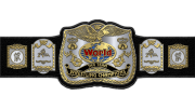 WWF Tag Team Championship WWF Tag Team Championship