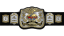 World Tag Team Championship World Tag Team Championship