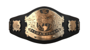 WWE Championship WWE Championship