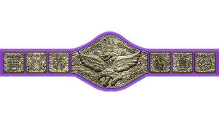 WWF Heavyweight Championship WWF Heavyweight Championship