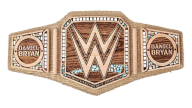 WWE Championship (eco-friendly - Daniel Bryan) WWE Championship (eco-friendly - Daniel Bryan)