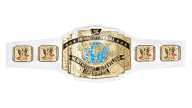 WWE Intercontinental Championship WWE Intercontinental Championship