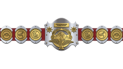 WWF Intercontinental Heavyweight Championship WWF Intercontinental Heavyweight Championship