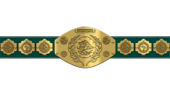 WWF Intercontinental Heavyweight Championship WWF Intercontinental Heavyweight Championship