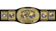 WWF Intercontinental Championship WWF Intercontinental Championship