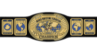 WWF Intercontinental Championship WWF Intercontinental Championship