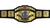 WWF Intercontinental Heavyweight Championship WWF Intercontinental Heavyweight Championship