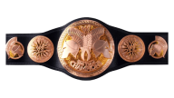 WWE Tag Team Championship WWE Tag Team Championship