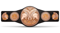 WWE Raw Tag Team Championship WWE Raw Tag Team Championship