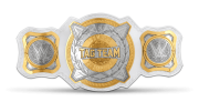 WWE Women's Tag Team Championship WWE Women's Tag Team Championship