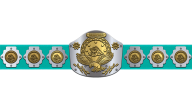WWF Intercontinental Heavyweight Championship WWF Intercontinental Heavyweight Championship