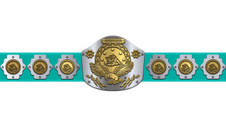 WWF Intercontinental Heavyweight Championship WWF Intercontinental Heavyweight Championship
