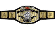WWF Intercontinental Championship WWF Intercontinental Championship