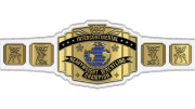 WWF Intercontinental Championship WWF Intercontinental Championship