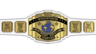 WWF Intercontinental Championship WWF Intercontinental Championship