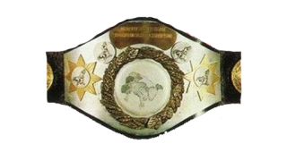 WWF North American Heavyweight Championship