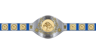 WWF World Tag Team Championship WWF World Tag Team Championship