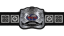 World Tag Team Championship World Tag Team Championship