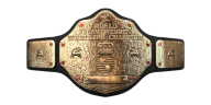 WWE SmackDown vs. Raw 2011: Championship Titles List