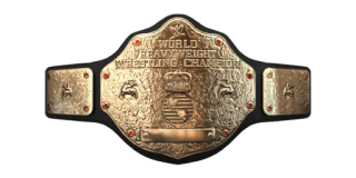 WWE SmackDown vs. Raw 2011: Championship Titles List