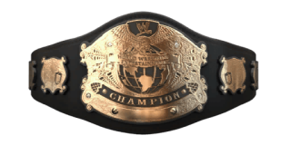 WWE SmackDown! vs. Raw (2005): Championship Titles List