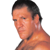 Bruno Sammartino Bruno Sammartino