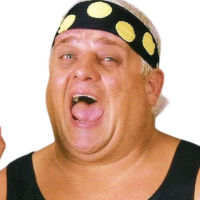 Dusty Rhodes Dusty Rhodes