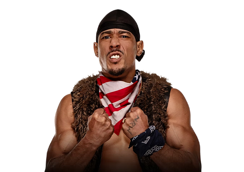 AR Fox AR Fox