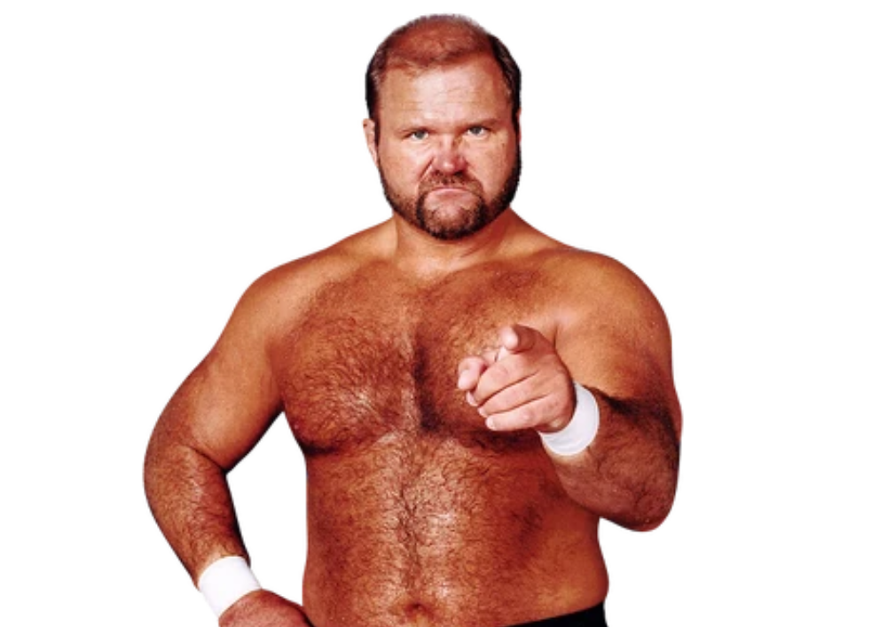 Arn Anderson - Pro Wrestlers Database