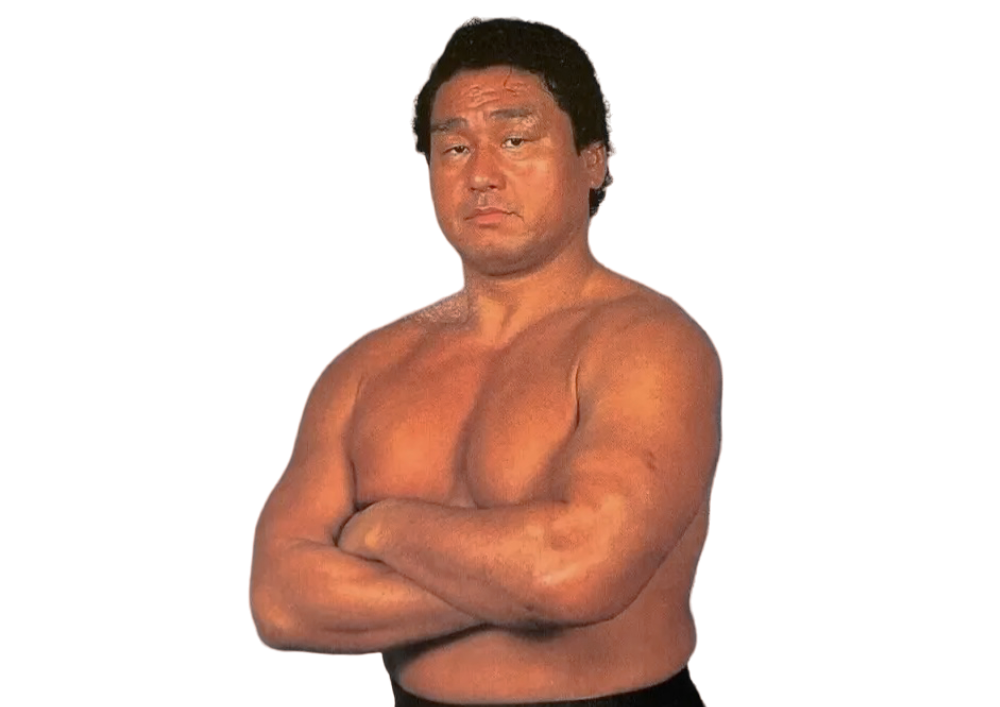 Genichiro Tenryu - Pro Wrestlers Database