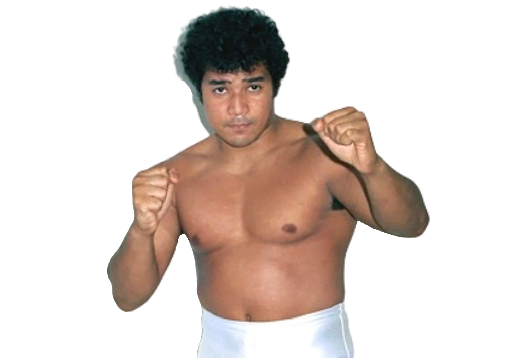 George Takano / The Cobra - Pro Wrestlers Database