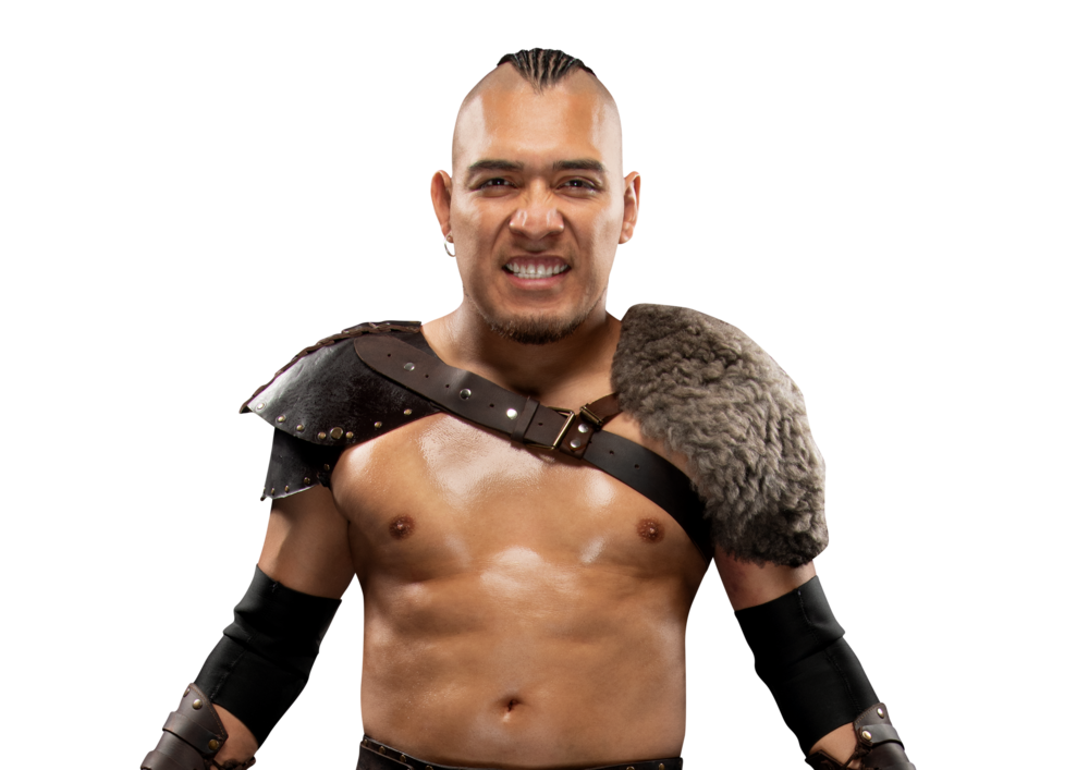 El Hijo del Vikingo El Hijo del Vikingo