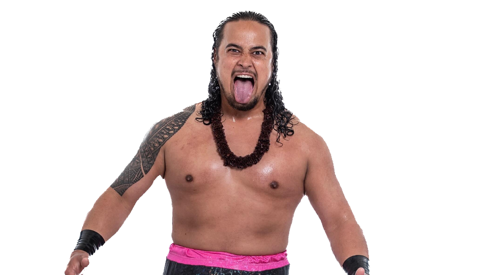 Lance Anoa'i - Pro Wrestlers Database