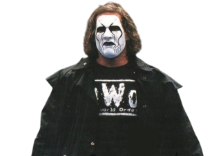 nWo Sting / Super J