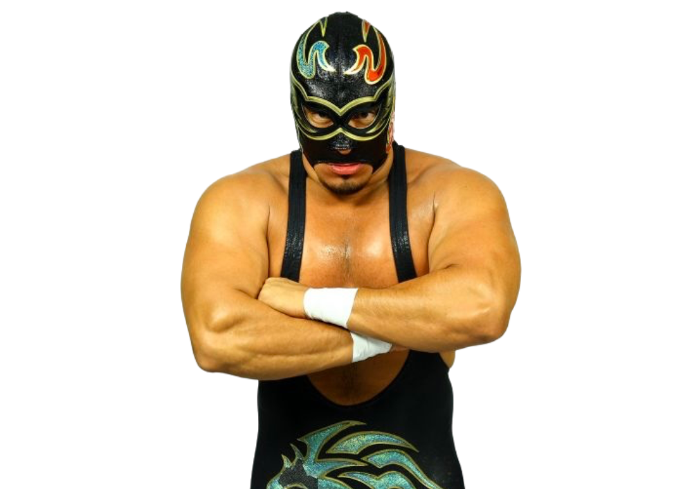 Silver King / Black Tiger III - Pro Wrestlers Database