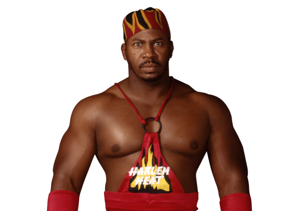 Stevie Ray - Pro Wrestlers Database