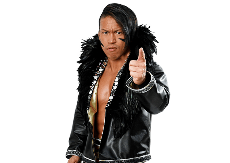 Taiji Ishimori - Pro Wrestlers Database