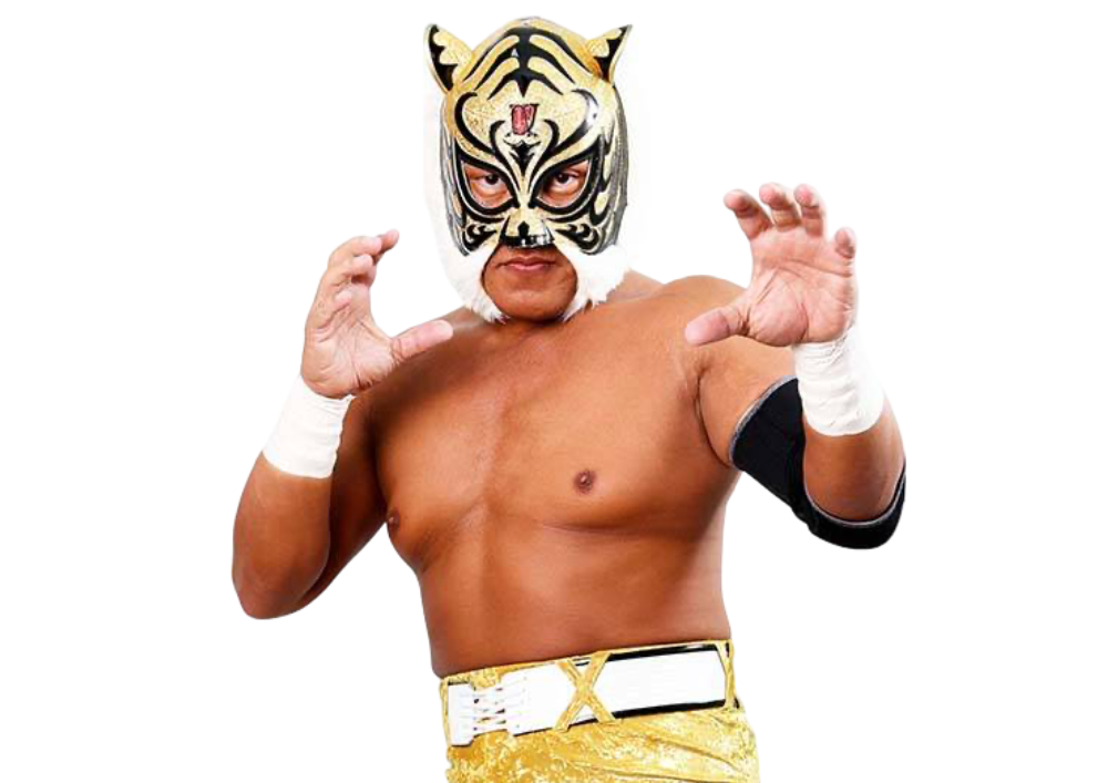 Tiger Mask IV / Yoshihiro Yamazaki: Profile, Career Stats, Face/Heel ...