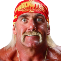 Hulk Hogan Hulk Hogan