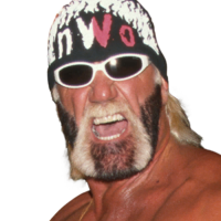 Hollywood Hogan