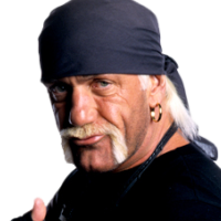 Hollywood Hulk Hogan