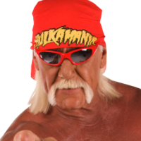 Hulk Hogan