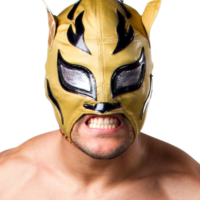 Lince Dorado