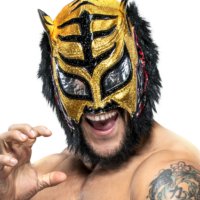 Lince Dorado