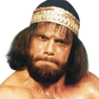 Randy Savage Randy Savage
