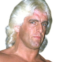 Ric Flair