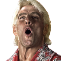 Ric Flair